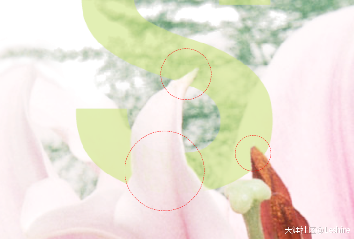 ps教程手机版海边:PS新手教程 蒙板绘制优雅趣味的花艺字体效果-第7张图片-亚星国际官网