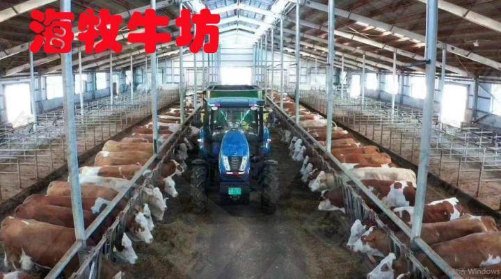 华为拍照手机价格和图片
:草饲和谷饲的区别图片_谷饲牛肉和草饲牛肉价格-第2张图片-亚星国际官网