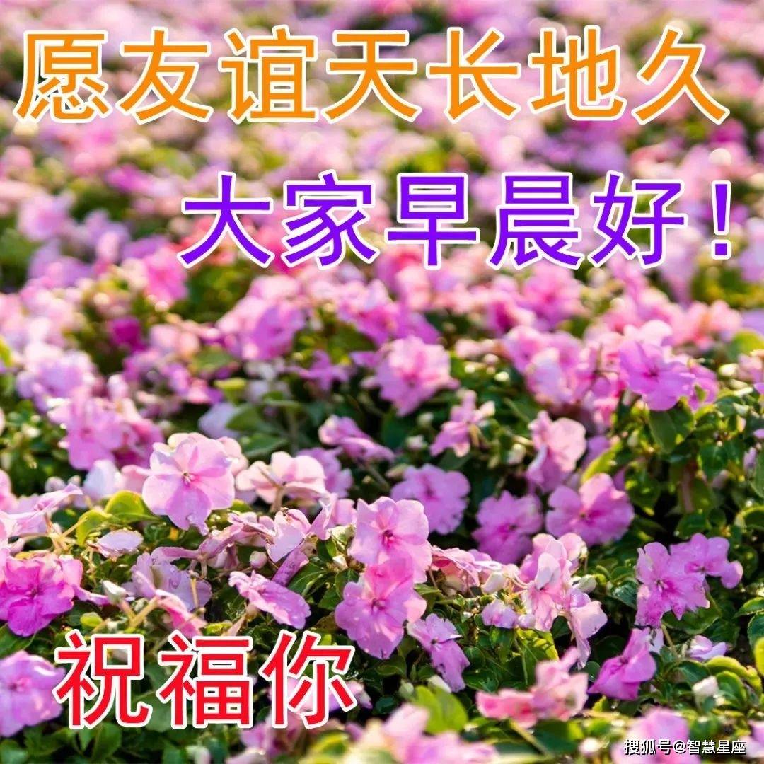 开心消消乐苹果下载免费版:12月24日周六早上好动态表情图片 寒冬最新早上好图片大全-第4张图片-亚星国际官网