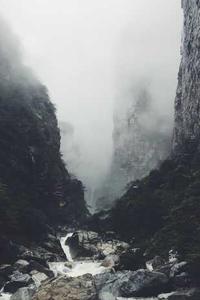 武士打僵尸苹果版