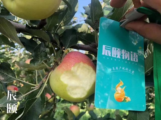 苹果酸的市场新闻苹果酸对人体的危害-第2张图片-亚星国际官网
