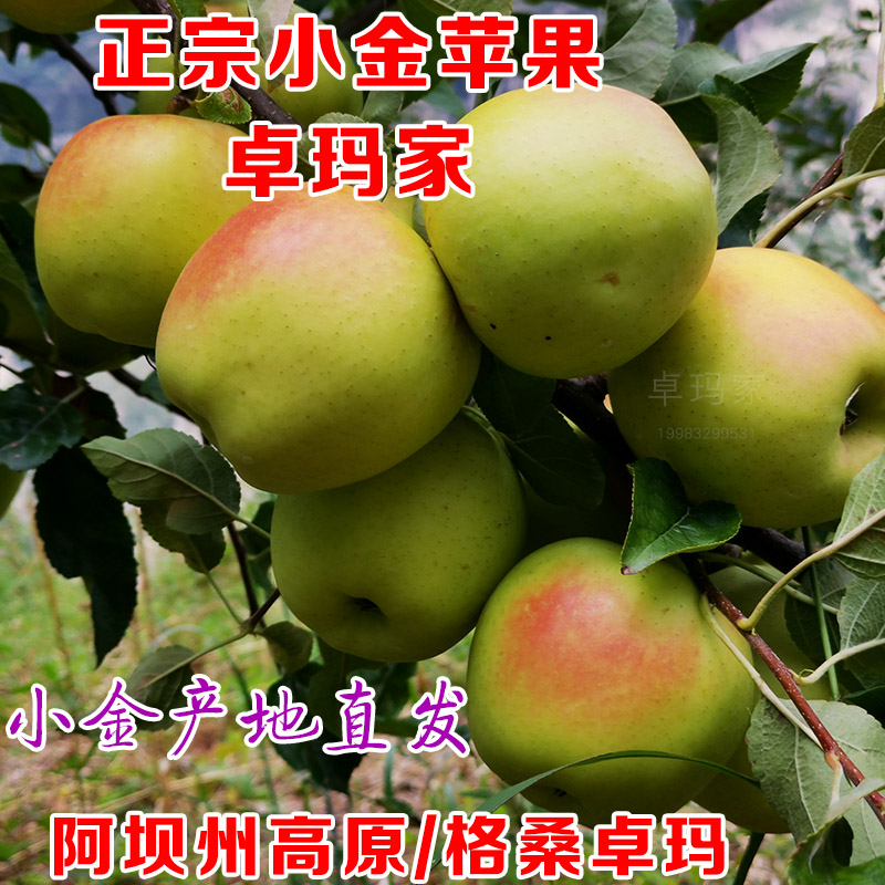 四川版的小苹果电影苹果电影未删版-第1张图片-亚星国际官网